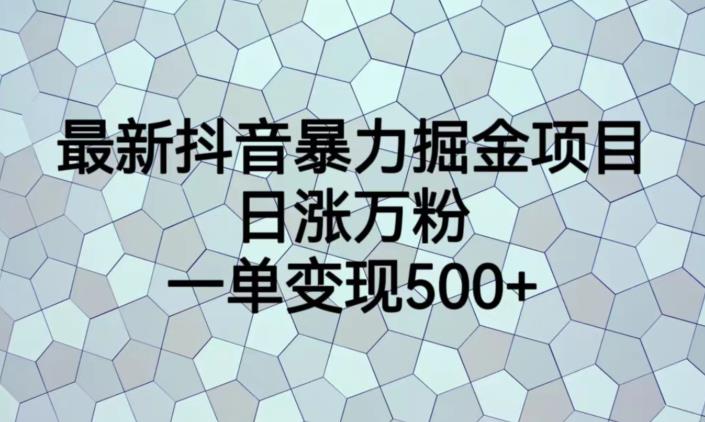 最新抖音暴力掘金项目，日涨万粉，一单变现500+【揭秘】-火山资源库