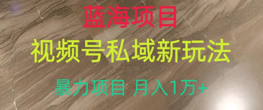 蓝海项目，视频号私域新玩法，暴力项目月入1万+【揭秘】-火山资源库