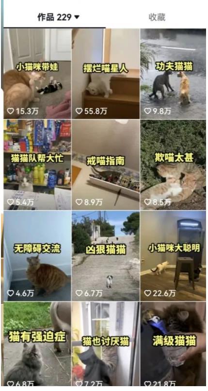 拆解：抖音盘点类中视频变现副业项目，视频版一条龙大解析分享给你-火山资源库