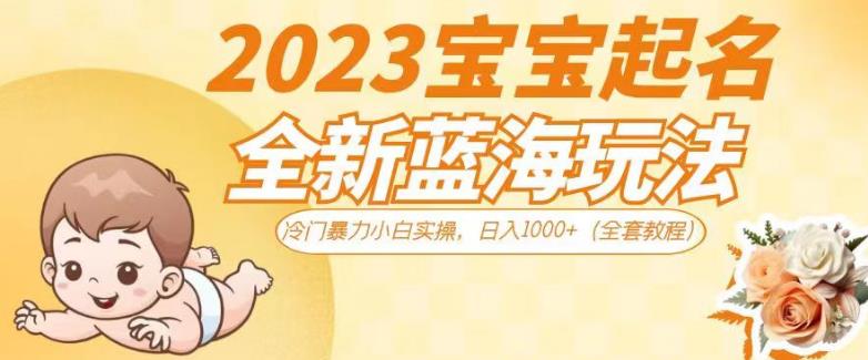 2023宝宝起名全新蓝海玩法，冷门暴力小白实操，日入1000+（全套教程）【揭秘】-火山资源库