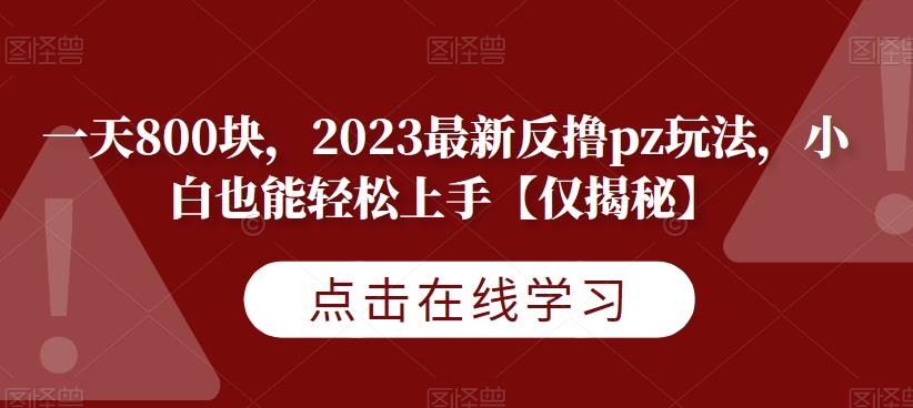 一天800块，2023最新反撸pz玩法，小白也能轻松上手【仅揭秘】-火山资源库
