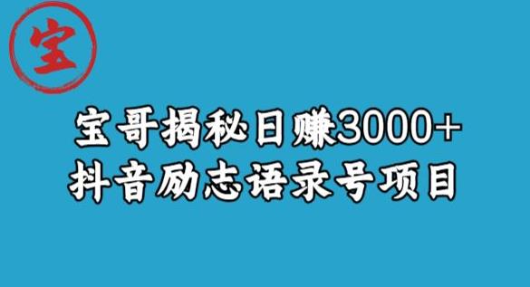宝哥揭秘日赚3000+抖音励志语录号短视频变现项目-火山资源库