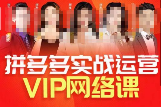 推易拼多多VIP全套直播课程，拼多多店铺实操玩法+实战玩法选款内功+直通车高阶等-火山资源库