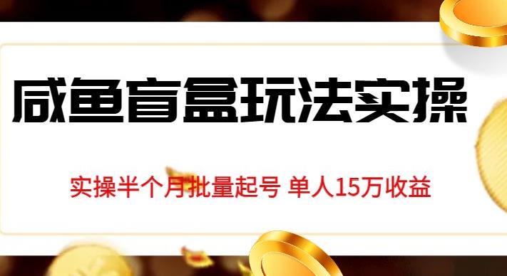 独家首发咸鱼盲盒玩法实操，半个月批量起号单人15万收益【揭秘】-火山资源库