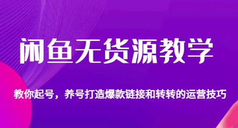 闲鱼无货源教学，教你起号，养号打造爆款链接以及转转的运营技巧-火山资源库
