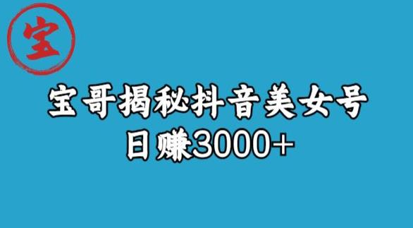 宝哥揭秘抖音美女号玩法，日赚3000+【揭秘】-火山资源库