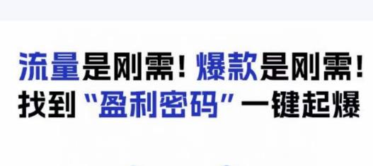 电商盈利精品课：6大盈利密码让产品更好卖，流量是刚需！爆款是刚需！找到”盈利密码”一键起爆-火山资源库