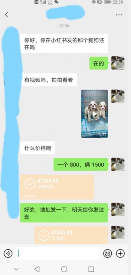 外边收费3980的同城萌宠项目，用最冷门的玩法冲击最热门的市场【揭秘】-火山资源库