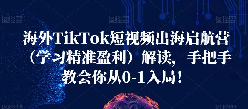 海外TikTok短视频出海启航营（学习精准盈利）解读，手把手教会你从0-1入局！-火山资源库