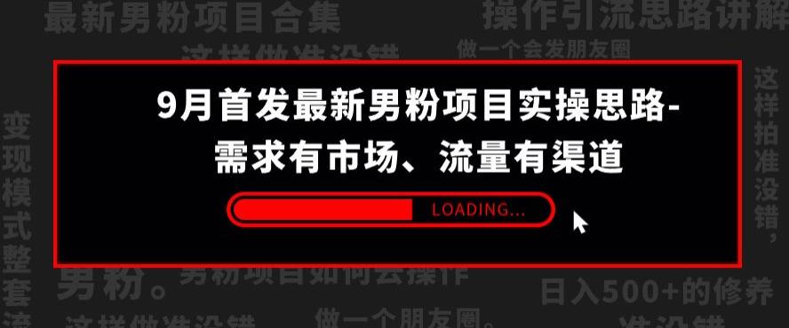 9月首发最新男粉项目实操思路-需求有市场，流量有渠道【揭秘】-火山资源库