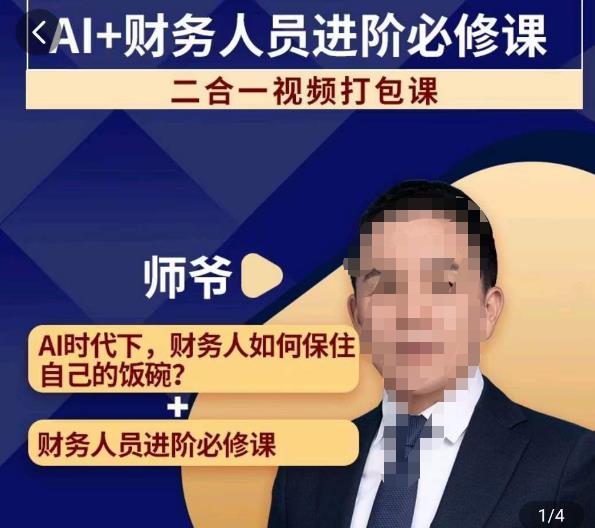 AI+财务人员进阶必修课二合一视频打包课，财务人员进阶必修课-火山资源库