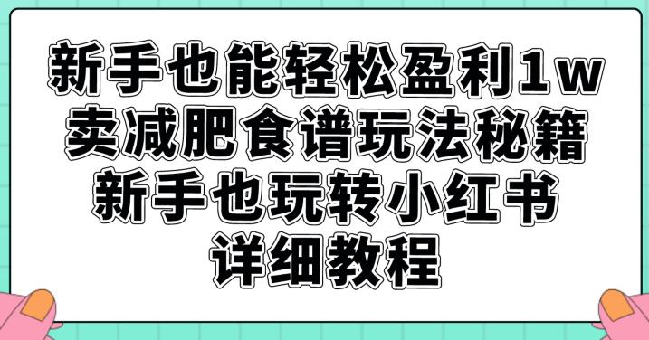 新手也能轻松盈利1w，卖减肥食谱玩法秘籍，新手也玩转小红书详细教程【揭秘】-火山资源库