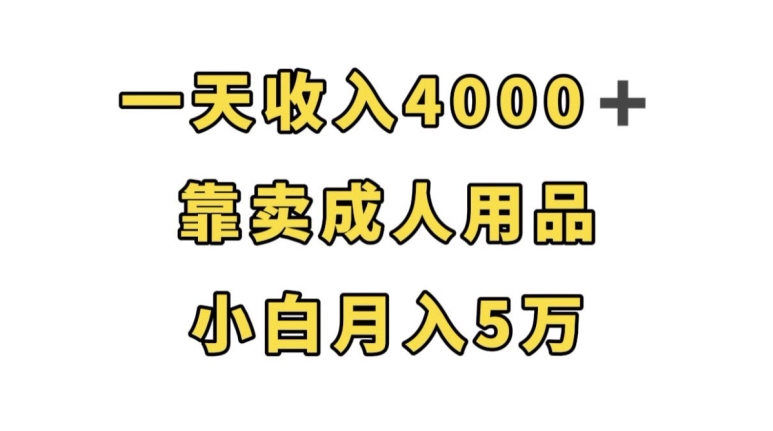 一天收入4000+，靠卖成人用品，小白轻松月入5万【揭秘】-火山资源库