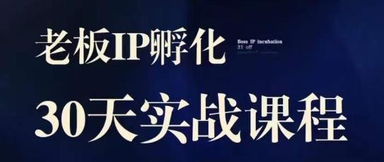 诸葛·2023老板IP实战课，实体同城引流获客，IP孵化必听-火山资源库