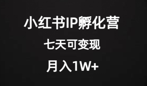 价值2000+的小红书IP孵化营项目，超级大蓝海，七天即可开始变现，稳定月入1W+-火山资源库
