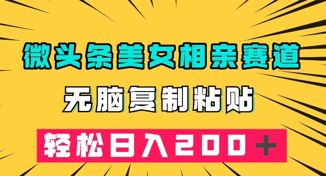 微头条冷门美女相亲赛道，无脑复制粘贴，轻松日入200＋【揭秘】-火山资源库