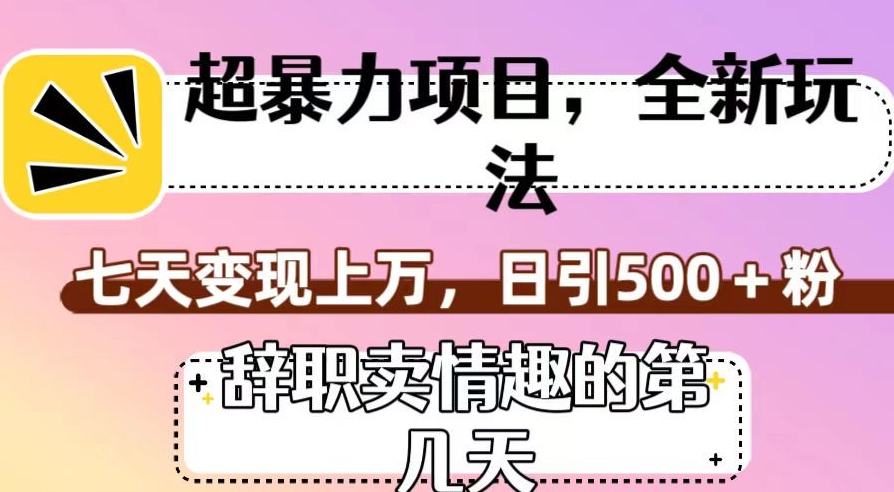 超暴利项目，全新玩法（辞职卖情趣的第几天），七天变现上万，日引500+粉【揭秘】-火山资源库