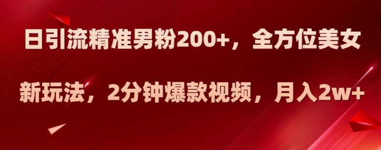 日引流精准男粉200+，全方位美女新玩法，2分钟爆款视频，月入2w+【揭秘】-火山资源库
