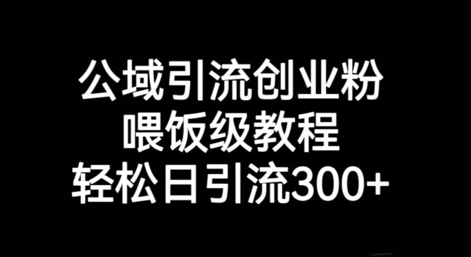 公域引流创业粉，喂饭级教程，轻松日引流300+【揭秘】-火山资源库