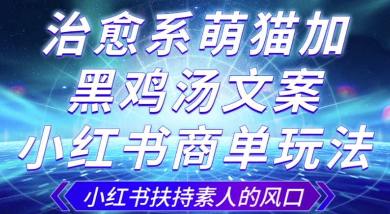 治愈系萌猫加+黑鸡汤文案，小红书商单玩法，3~10天涨到1000粉，一单200左右-火山资源库