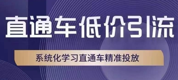 直通车低价引流课，系统化学习直通车精准投放-火山资源库