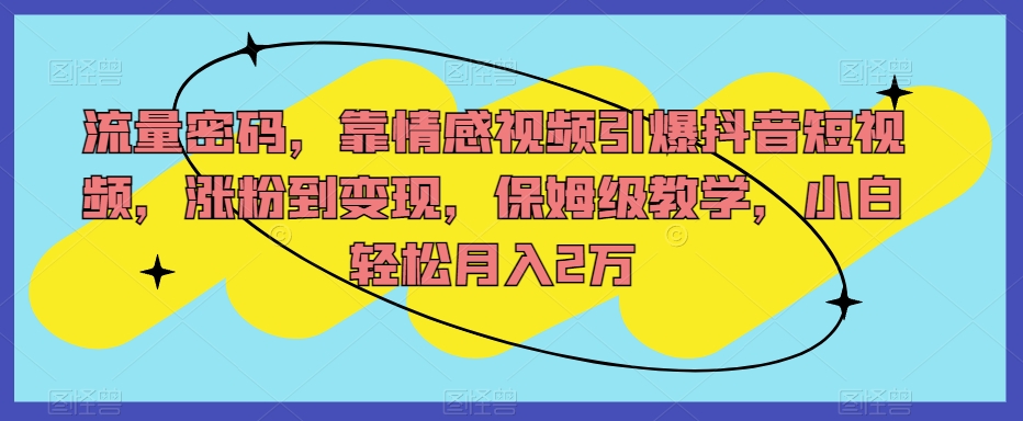 流量密码，靠情感视频引爆抖音短视频，涨粉到变现，保姆级教学，小白轻松月入2万【揭秘】-火山资源库