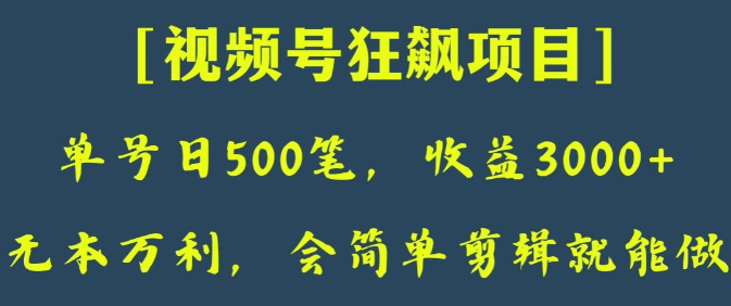 日收款500笔，纯利润3000+，视频号狂飙项目，会简单剪辑就能做【揭秘】-火山资源库