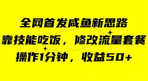 咸鱼冷门新玩法，靠“技能吃饭”，修改流量套餐，操作1分钟，收益50【揭秘】-火山资源库
