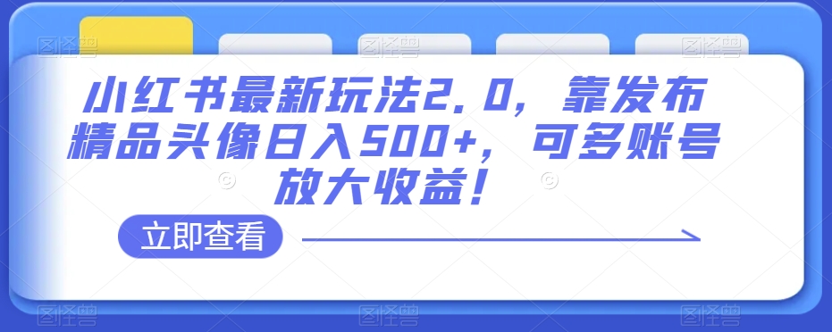小红书最新玩法2.0，靠发布精品头像日入500+，可多账号放大收益！【揭秘】-火山资源库