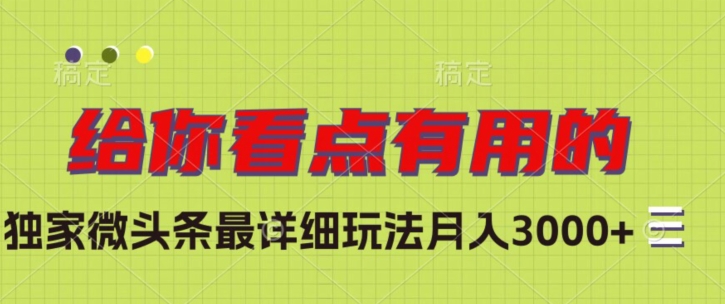 独家微头条最详细玩法，月入3000+【揭秘】-火山资源库
