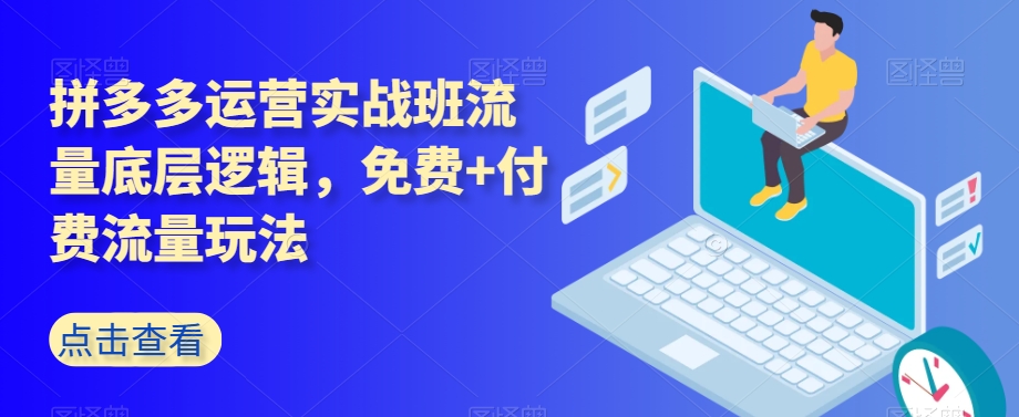 拼多多运营实战班流量底层逻辑，免费+付费流量玩法-火山资源库