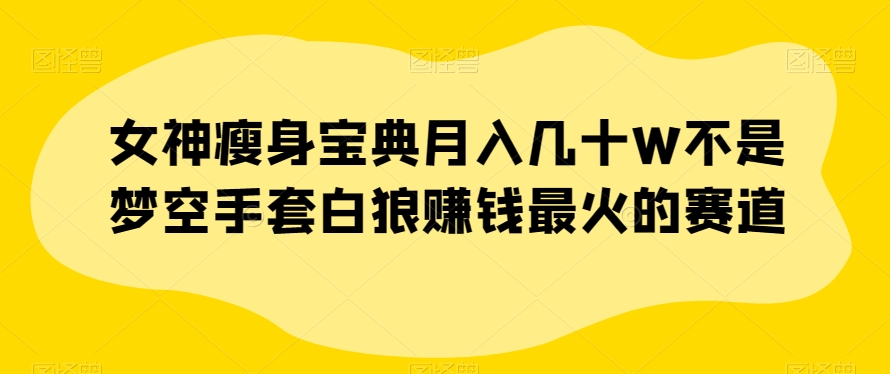 女神瘦身宝典月入几十W不是梦空手套白狼赚钱最火的赛道【揭秘】-火山资源库