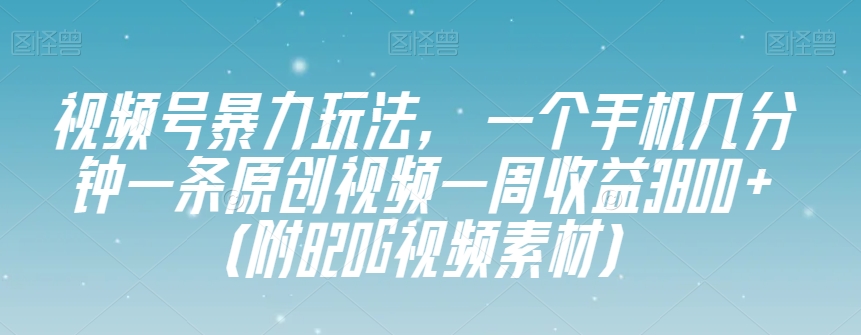 视频号暴力玩法，一个手机几分钟一条原创视频一周收益3800+（附820G视频素材）-火山资源库