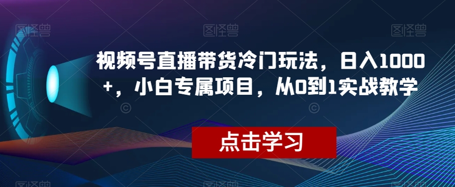 视频号直播带货冷门玩法，日入1000+，小白专属项目，从0到1实战教学【揭秘】-火山资源库