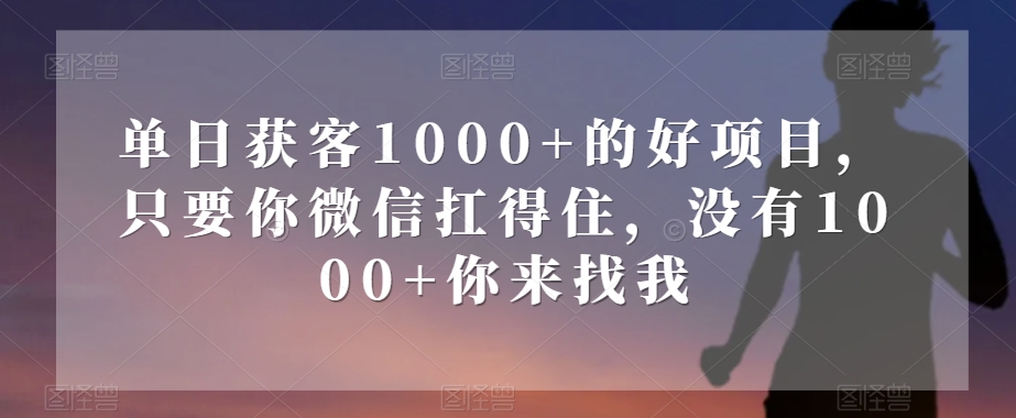 单日获客1000+的好项目，只要你微信扛得住，没有1000+你来找我【揭秘】-火山资源库