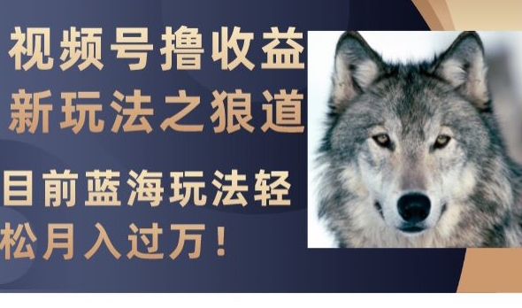 视频号撸收益新玩法之狼道，目前蓝海玩法，轻松月入过万【揭秘】-火山资源库