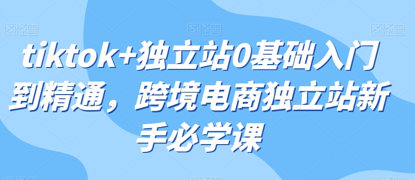 tiktok+独立站0基础入门到精通，跨境电商独立站新手必学课-火山资源库