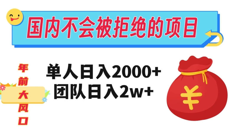 在国内不怕被拒绝的项目，单人日入2000，团队日入20000+【揭秘】-火山资源库