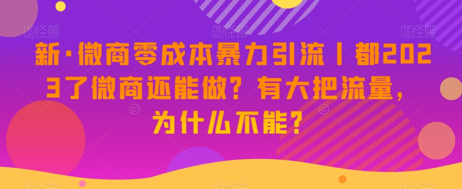 新·微商零成本暴力引流丨都2023了微商还能做？有大把流量，为什么不能？-火山资源库