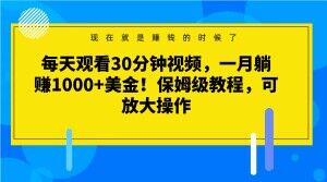 每天观看30分钟视频，一月躺赚1000+美金！保姆级教程，可放大操作【揭秘】-火山资源库