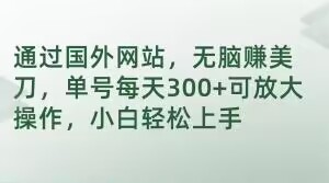 通过国外网站，无脑赚美刀，单号每天300+可放大操作，小白轻松上手【揭秘】-火山资源库