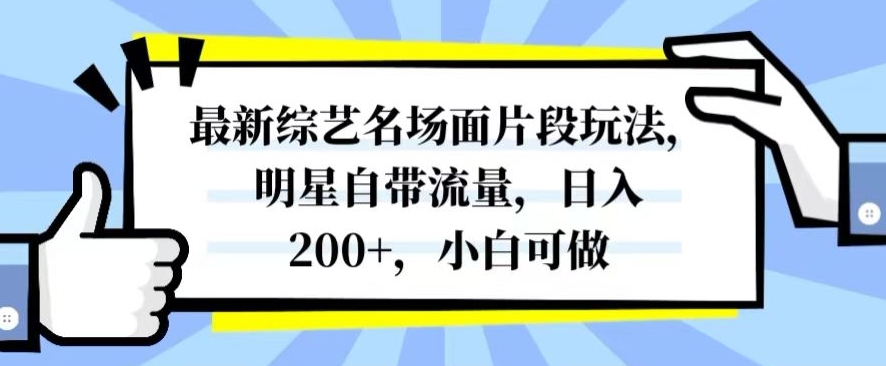 最新综艺名场面片段玩法，明星自带流量，日入200+，小白可做【揭秘】-火山资源库