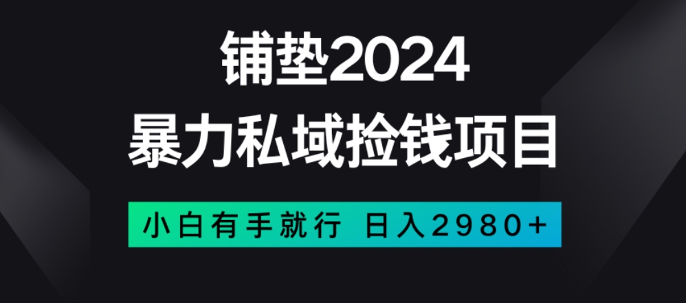 暴力私域捡钱项目，小白无脑操作，日入2980【揭秘】-火山资源库