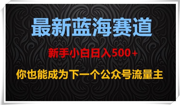 最新蓝海赛道，新手小白日入500+，你也能成为下一个公众号流量主【揭秘】-火山资源库