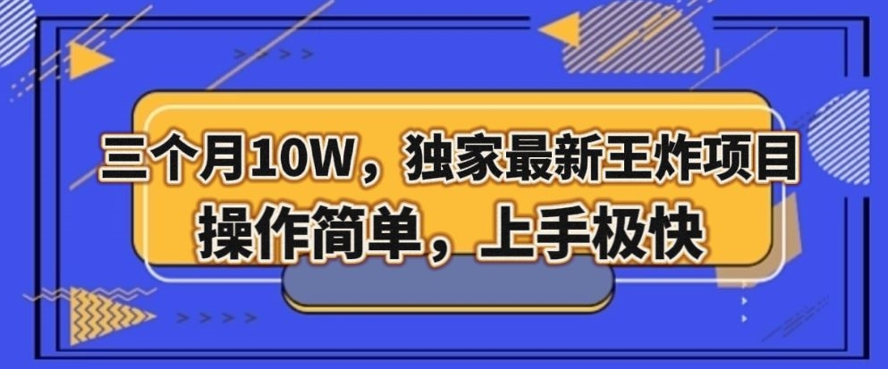 三个月10W，独家最新王炸项目！操作简单，上手极快【揭秘】-火山资源库