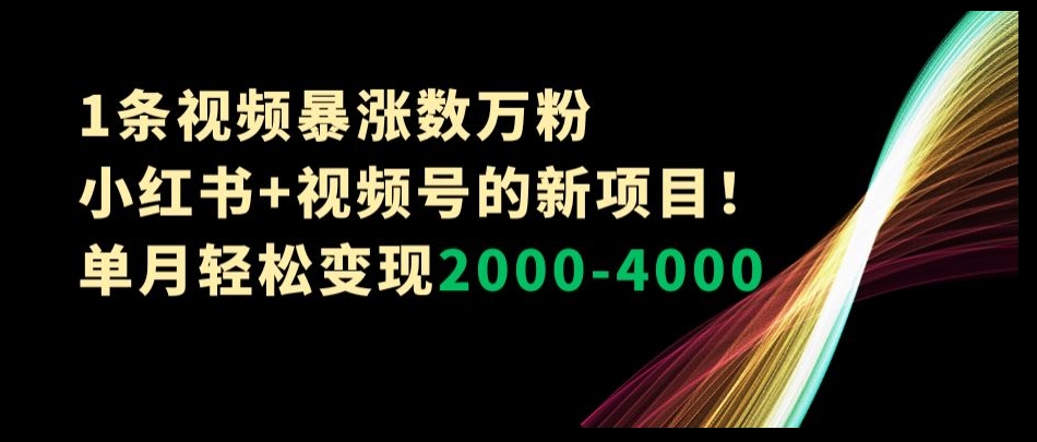 1条视频暴涨数万粉–小红书+视频号的新项目！单月轻松变现2000-4000【揭秘】-火山资源库
