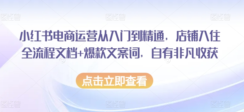 小红书电商运营从入门到精通，店铺入住全流程文档+爆款文案词，自有非凡收获-火山资源库