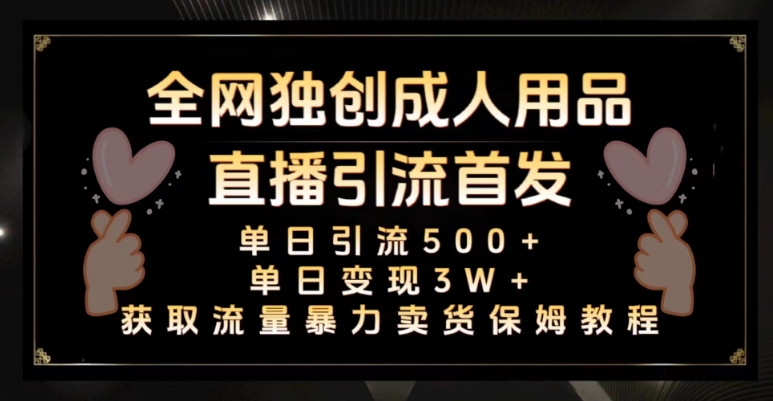 全网独创真人主播+无人直播单日引流500+，橙人用品暴力卖货单日变现3W+保姆似教学2.0【揭秘】-火山资源库