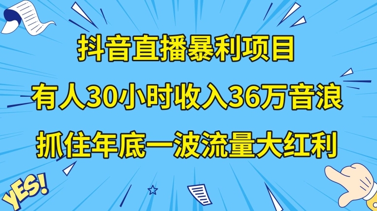 抖音直播暴利项目，有人30小时收入36万音浪，公司宣传片年会视频制作，抓住年底一波流量大红利【揭秘】-火山资源库