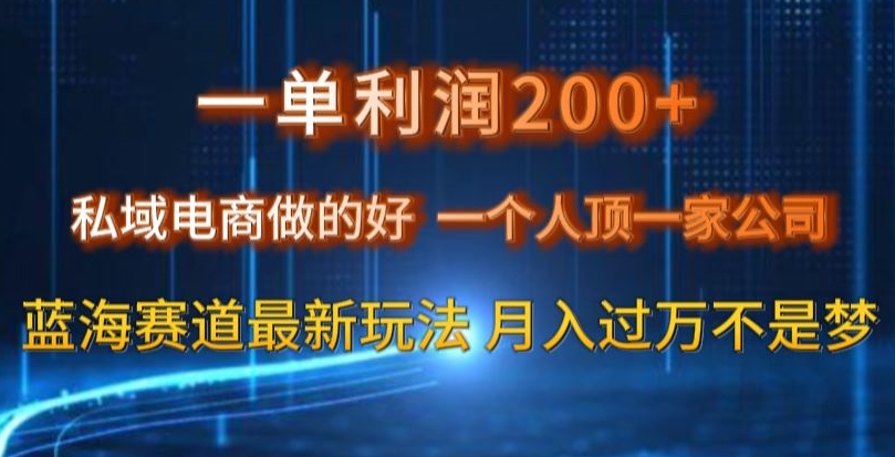一单利润200私域电商做的好，一个人顶一家公司蓝海赛道最新玩法【揭秘】-火山资源库